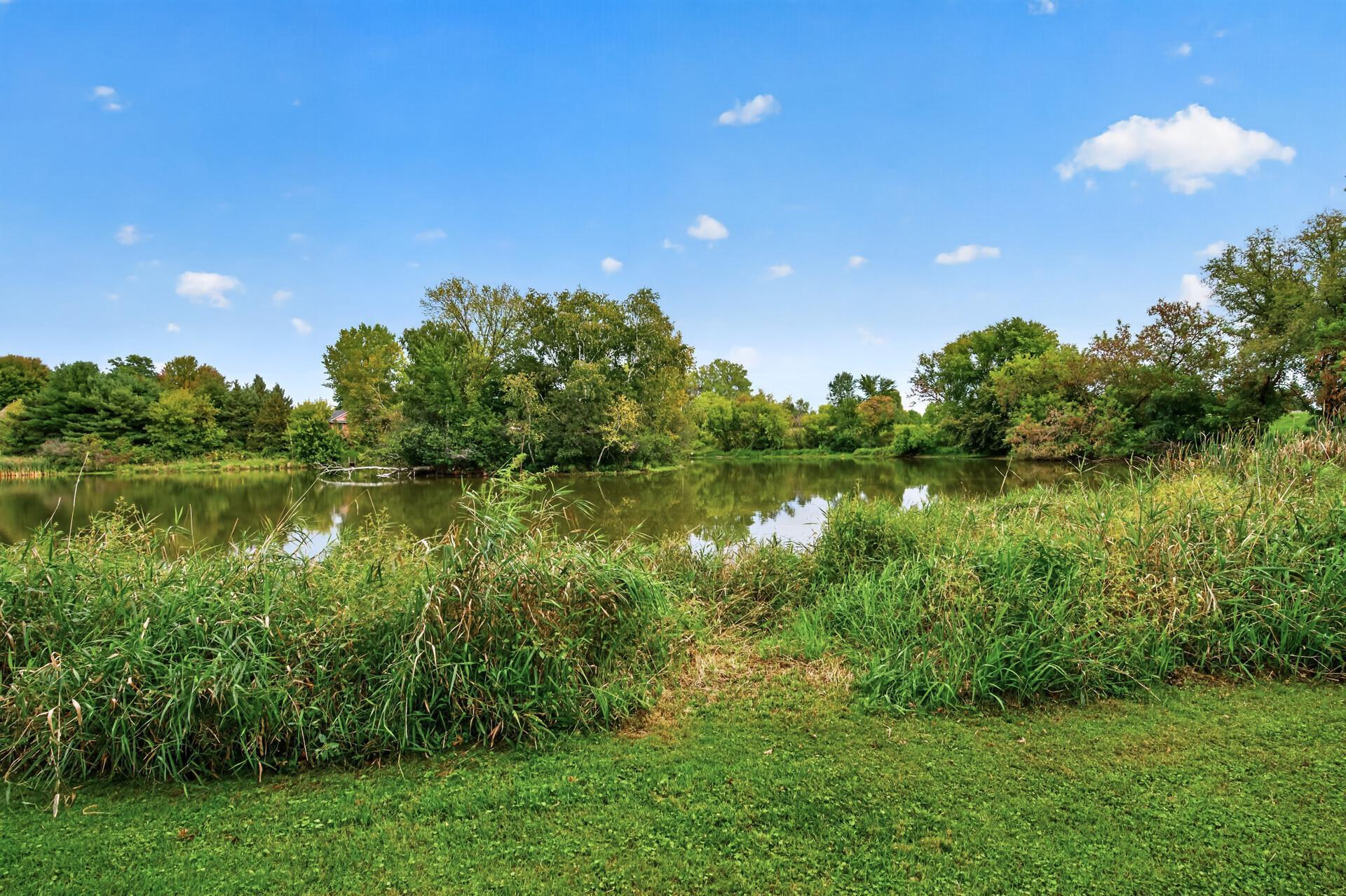 Pond at the rear of the property.