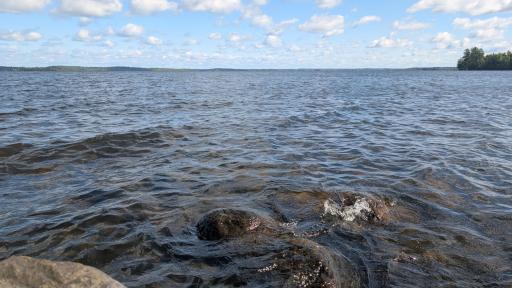 Lot A Everett Bay Rd, Tower, MN 55790