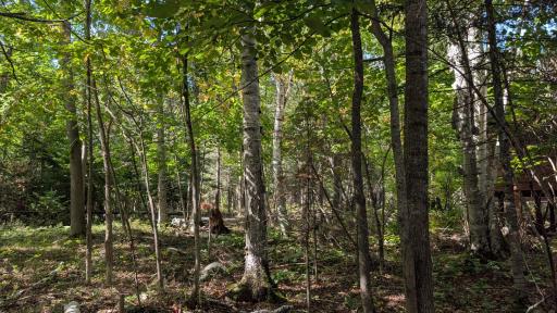 Lot A Everett Bay Rd, Tower, MN 55790