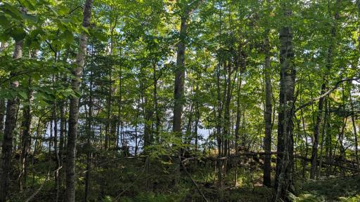 Lot A Everett Bay Rd, Tower, MN 55790
