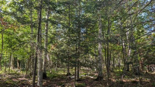 Lot A Everett Bay Rd, Tower, MN 55790