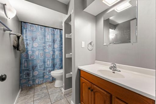 Lower Level Bathroom with tile surround and walk-in shower.