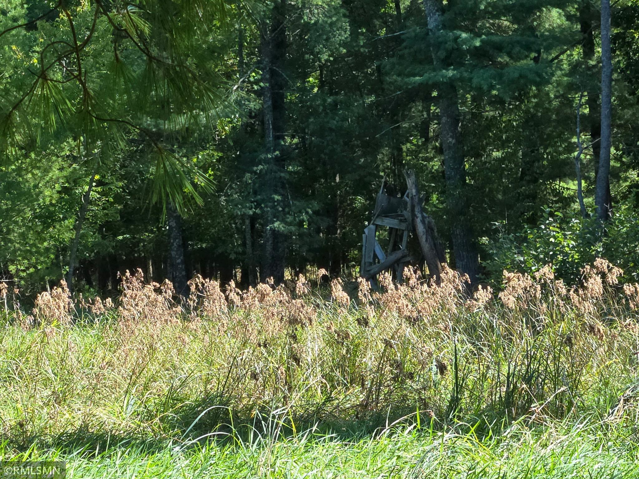 20260915_143334.jpg