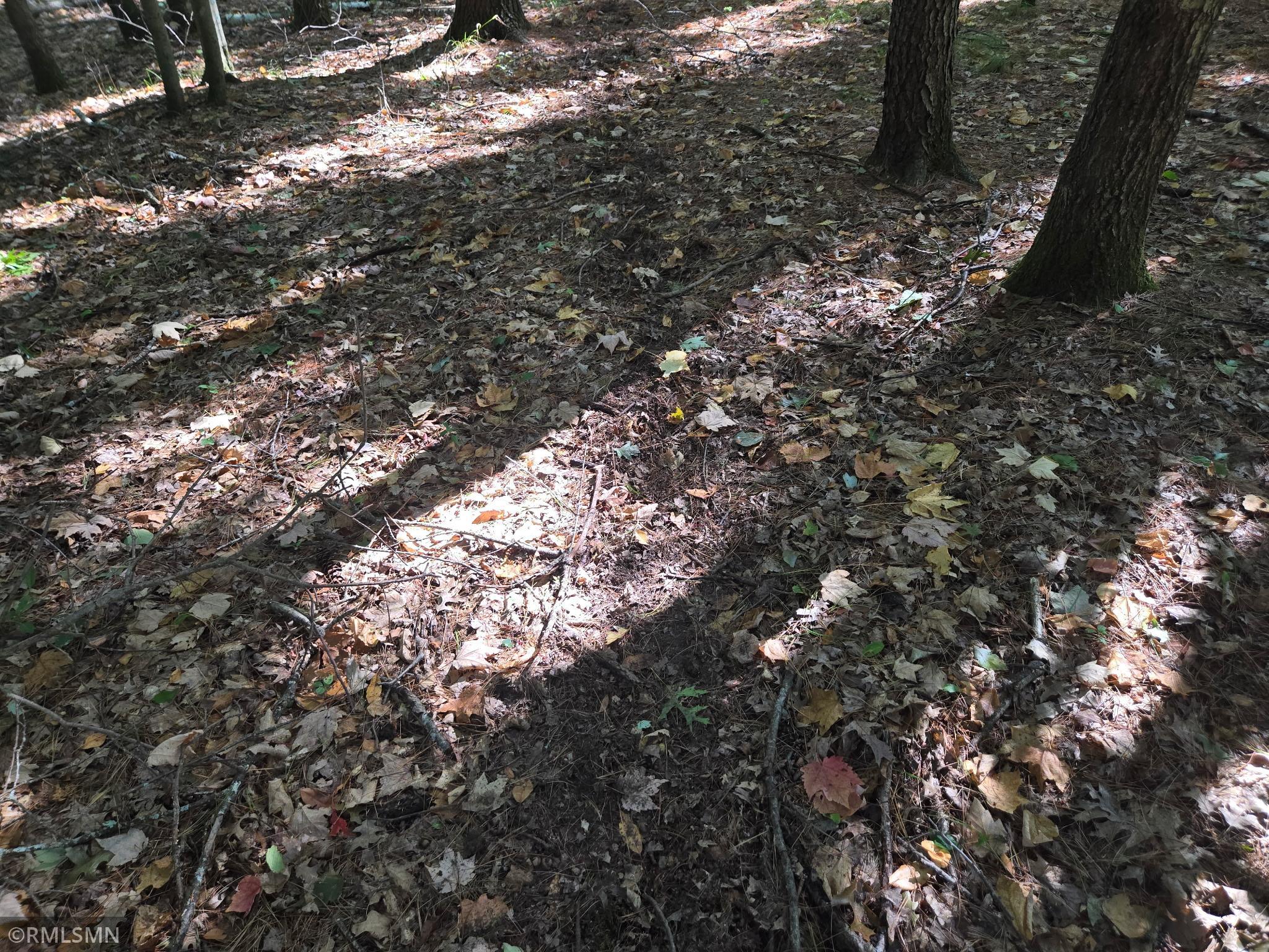 20260915_143237.jpg