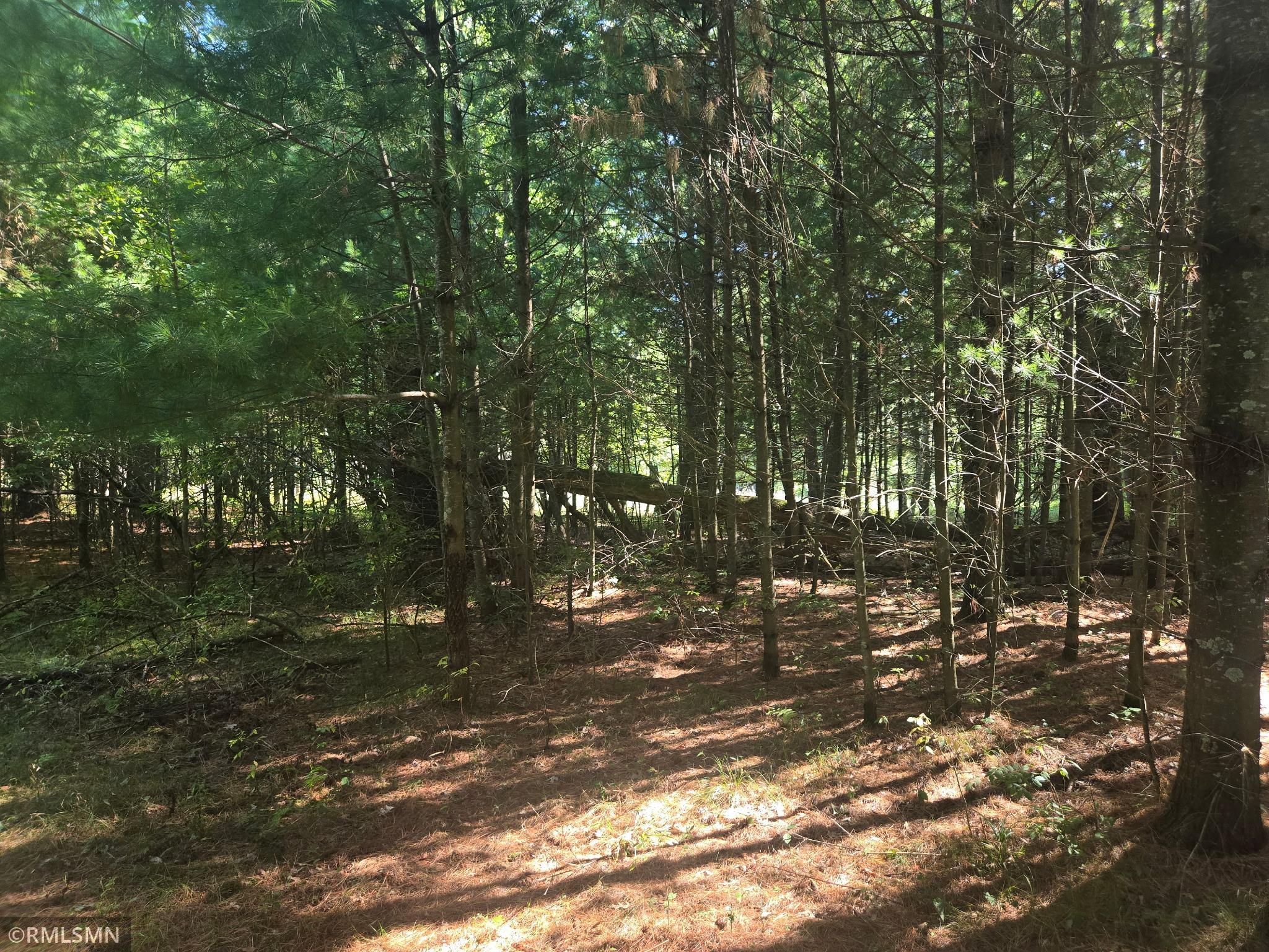 20260915_142757.jpg