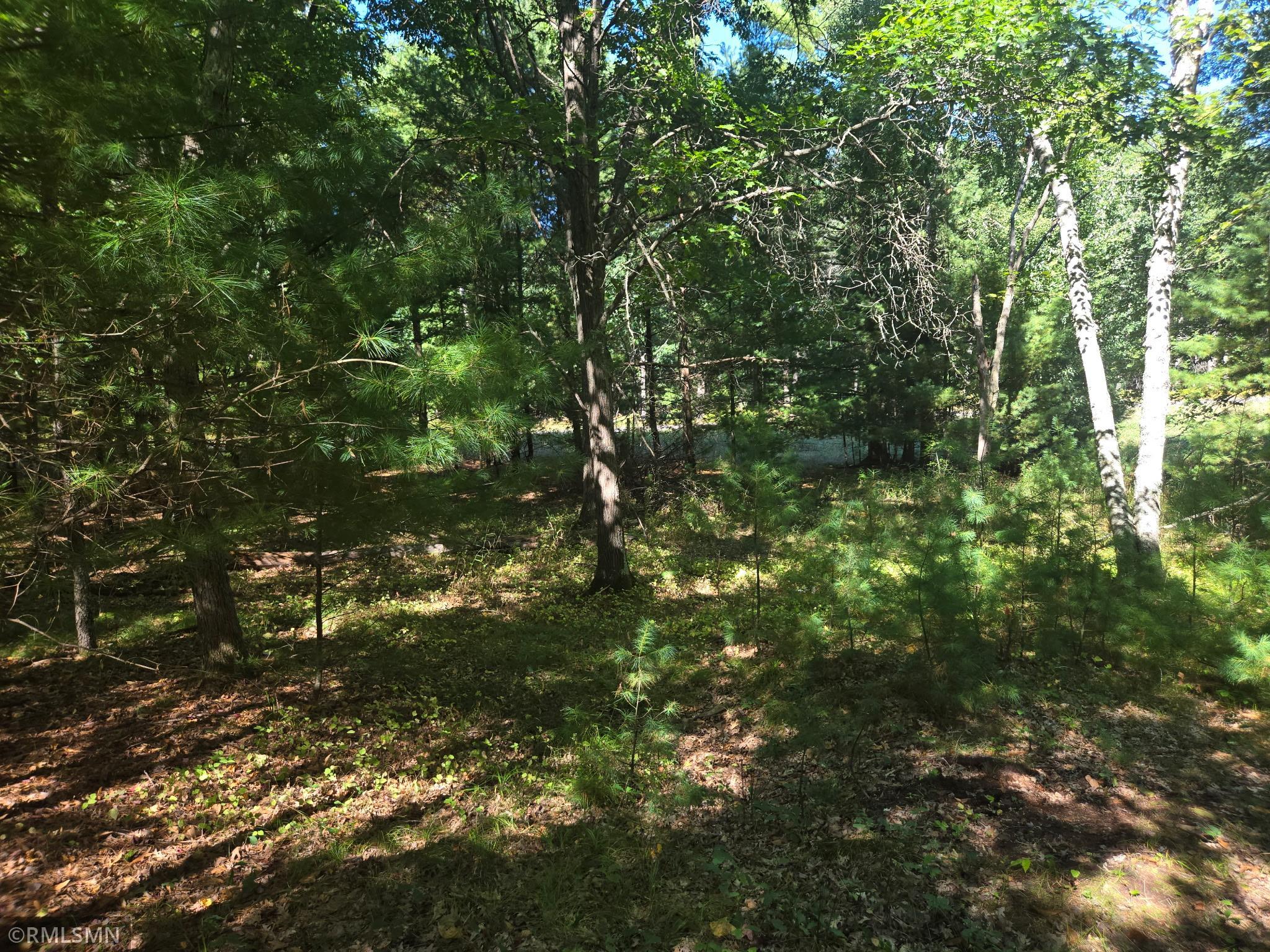 20260910_143121.jpg