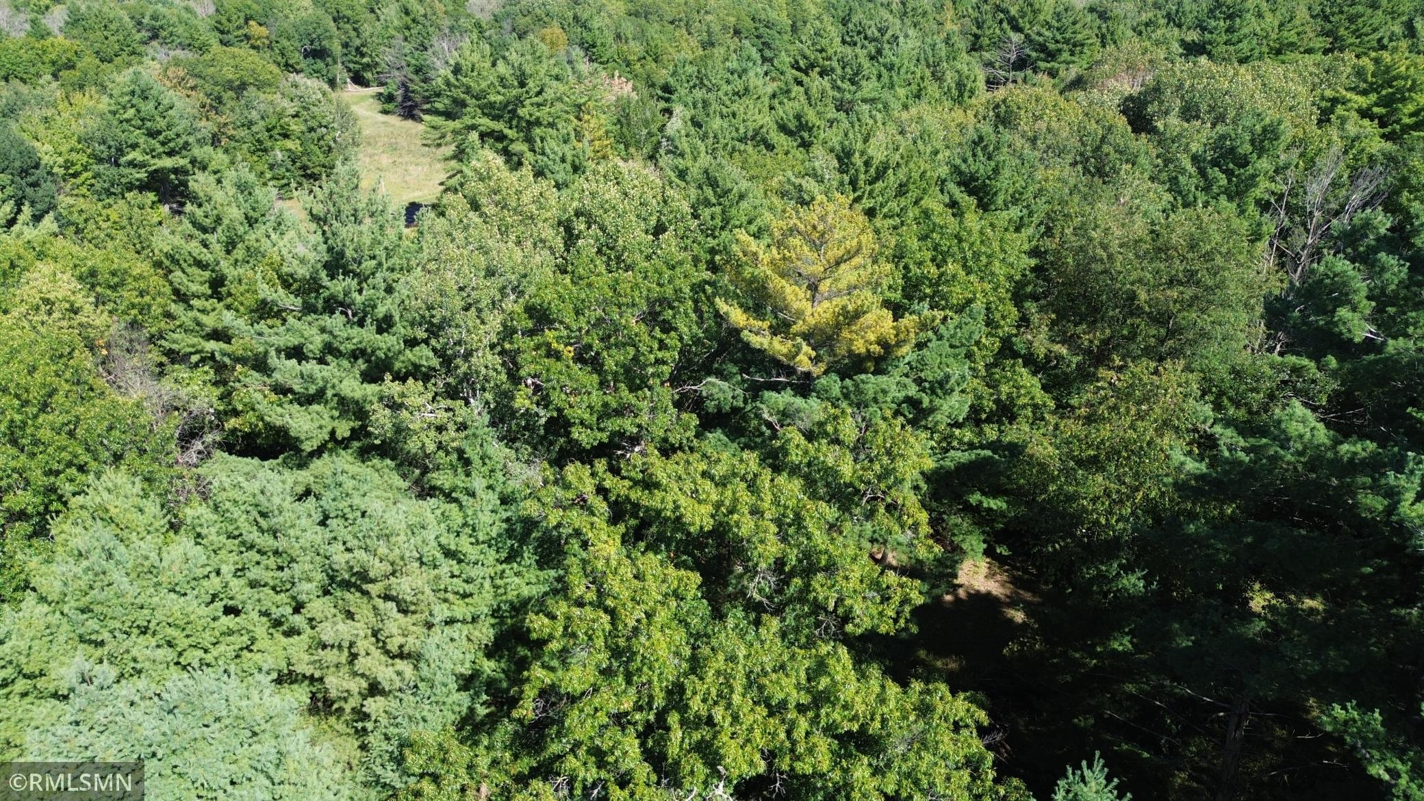 DJI_0066.JPG