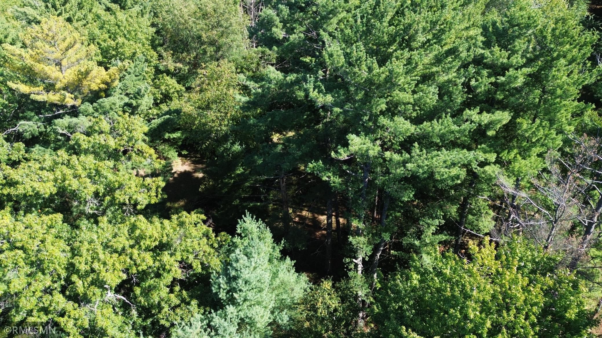 DJI_0065.JPG