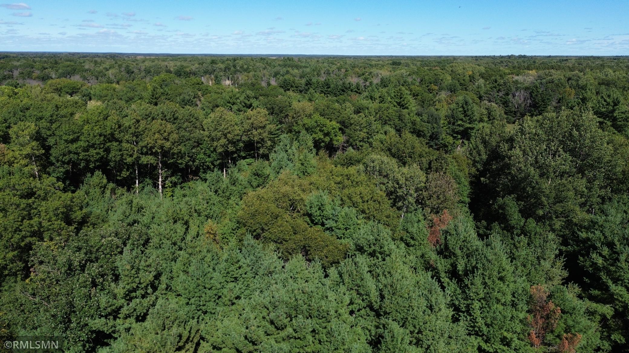 DJI_0063.JPG