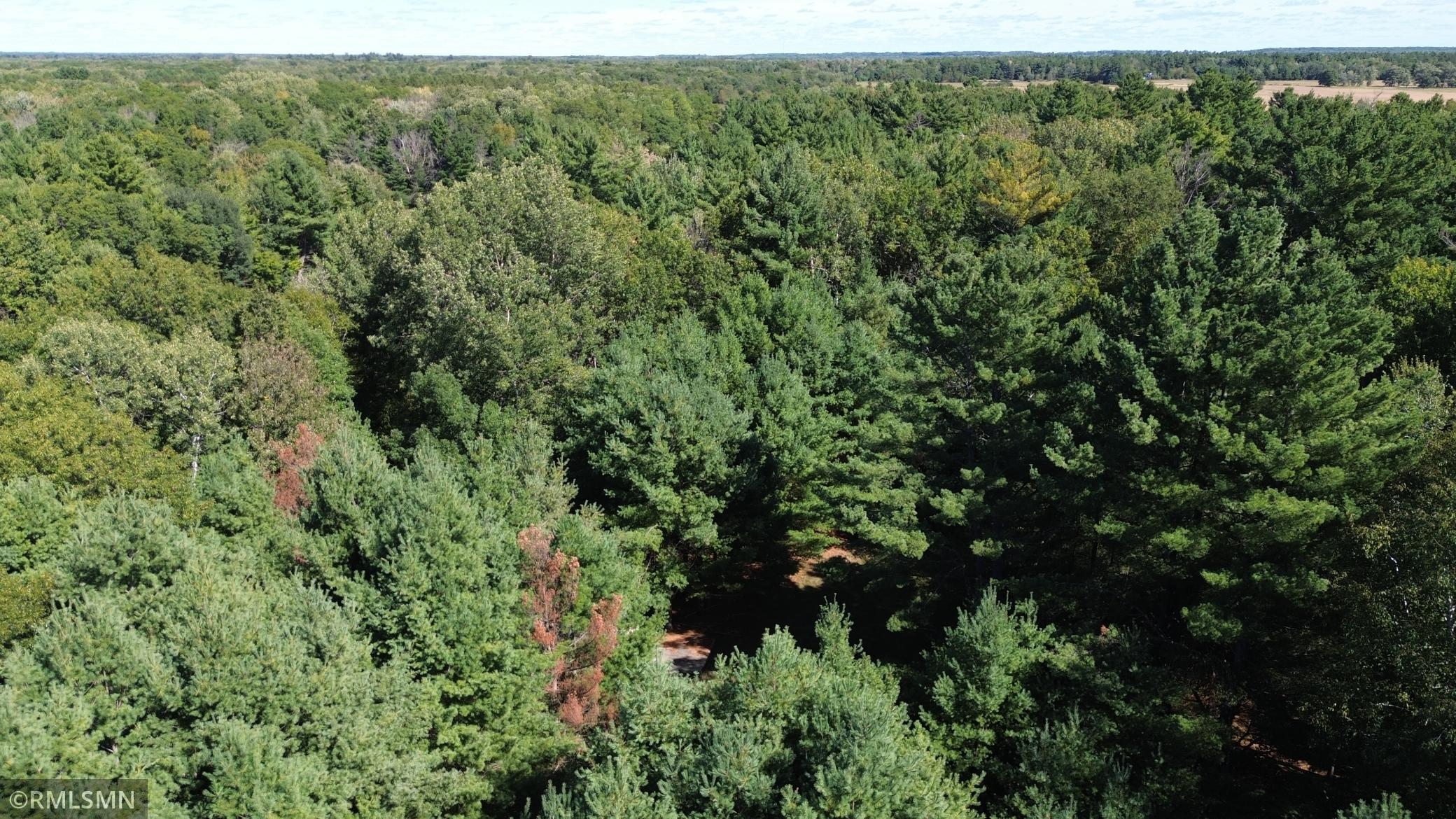 DJI_0062.JPG