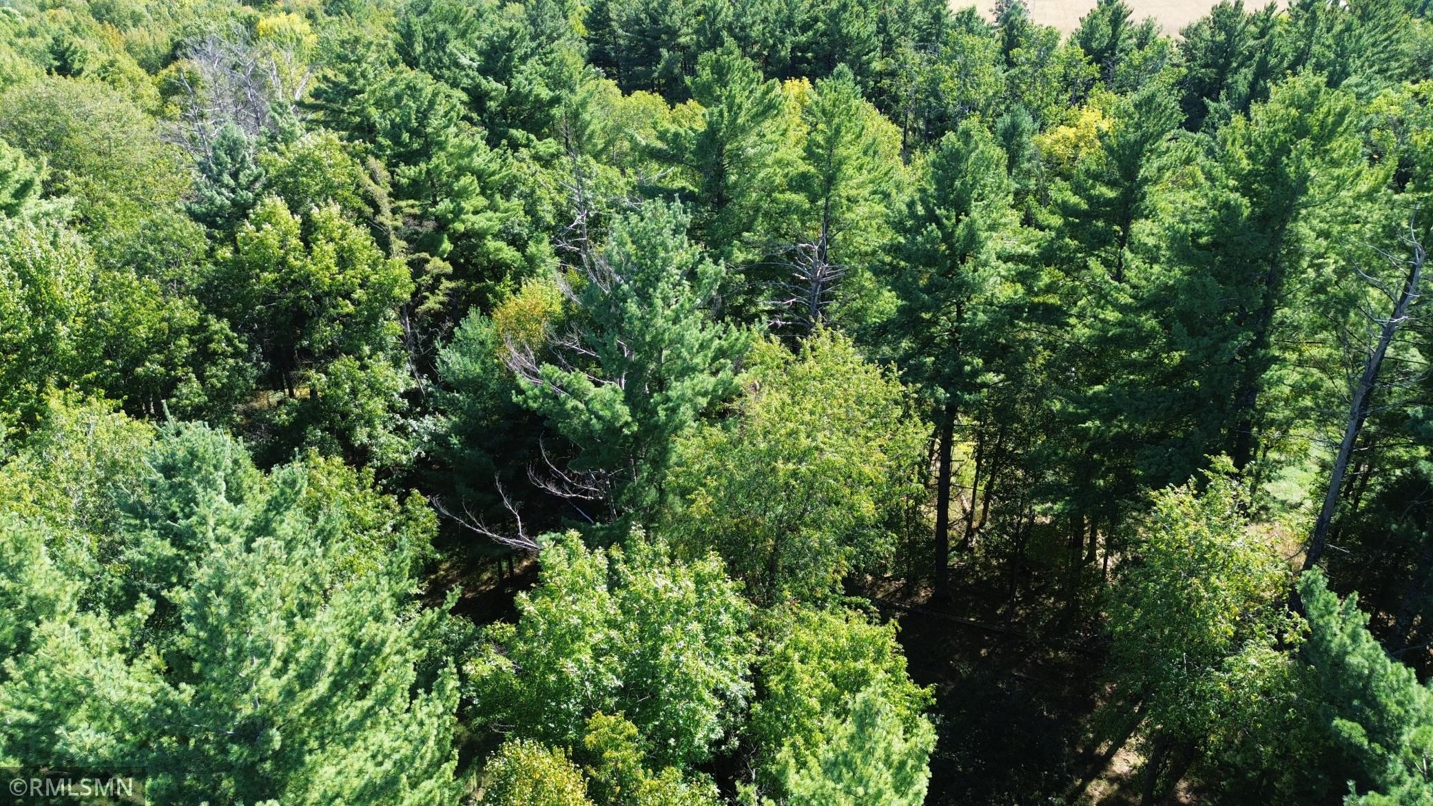 DJI_0070.JPG