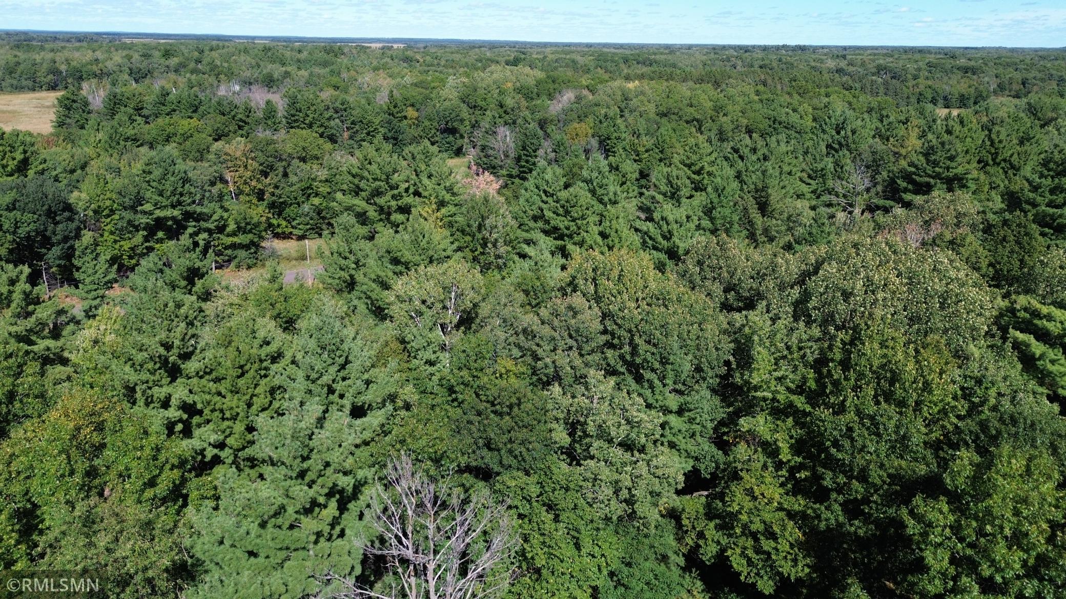 DJI_0077.JPG