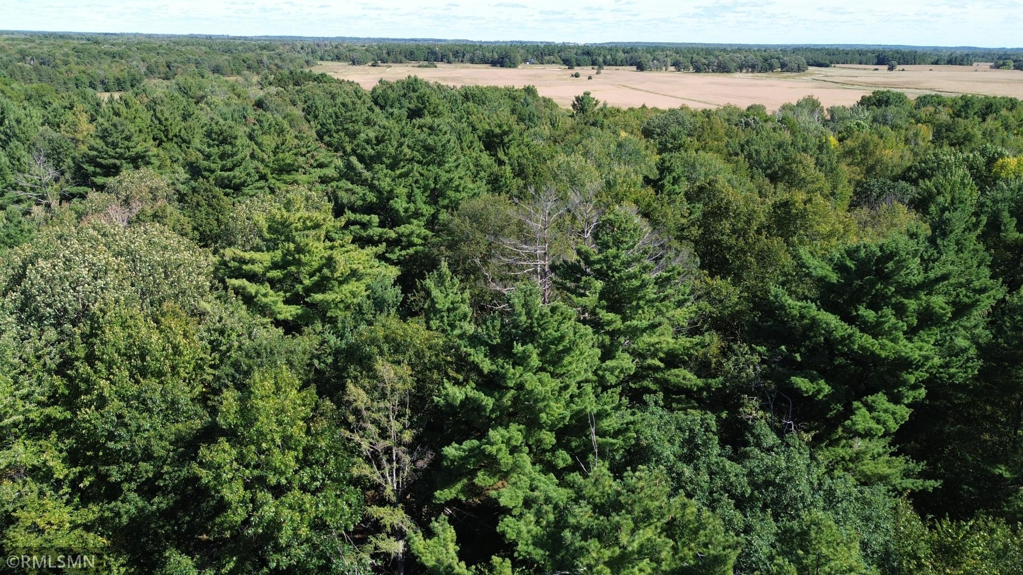 DJI_0076.JPG