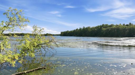 Lot 2 Sugar Bay Road, Chetek, WI 54728