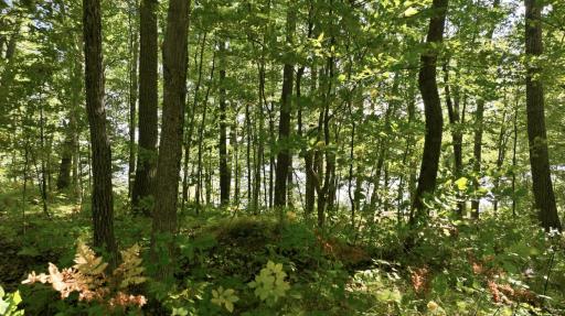 Lot 2 Sugar Bay Road, Chetek, WI 54728