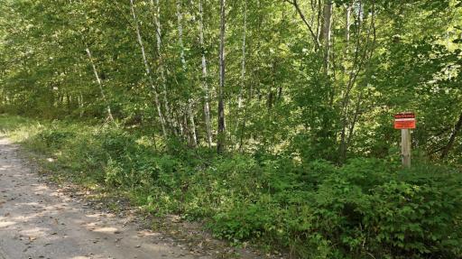 Lot 2 Sugar Bay Road, Chetek, WI 54728