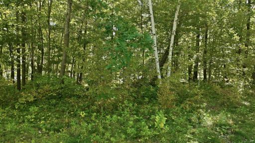 Lot 2 Sugar Bay Road, Chetek, WI 54728