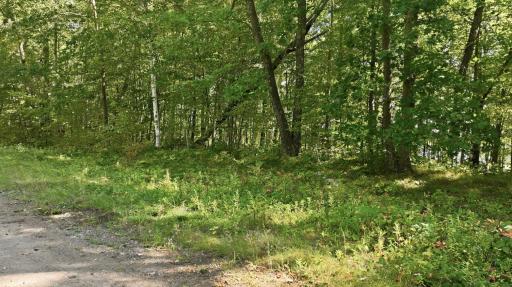 Lot 2 Sugar Bay Road, Chetek, WI 54728