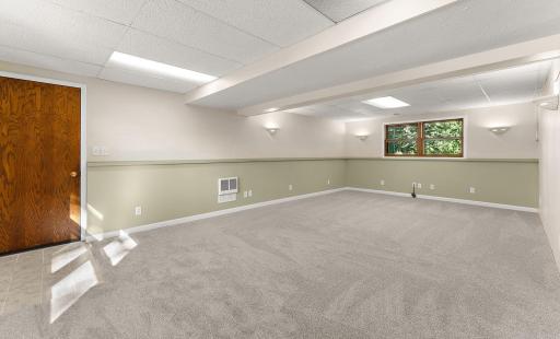 Lower Level Family Room