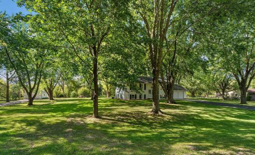 Front Yard