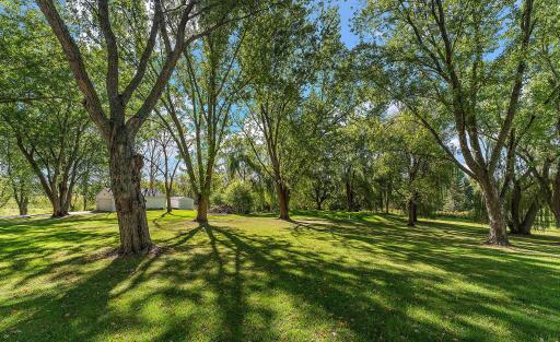 Patio Backyard View