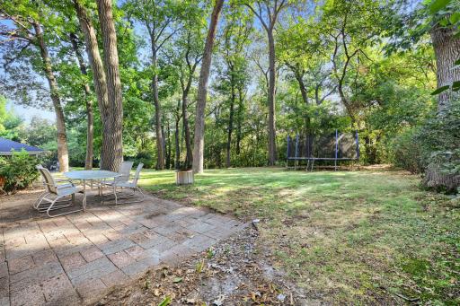 3523 Arbor Ln - Print Quality - 036 - 36 Exterior Rear.jpg