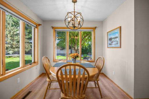13839 Pierce Street NE, Ham Lake, MN 55304
