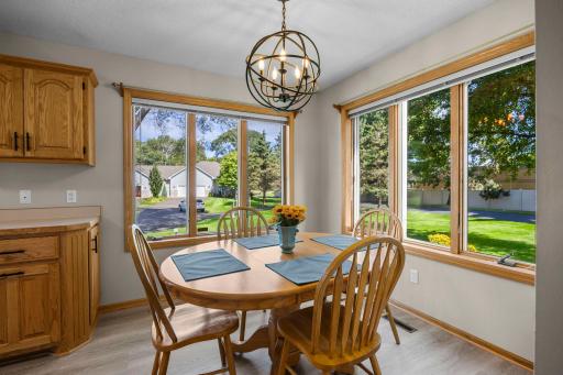 13839 Pierce Street NE, Ham Lake, MN 55304