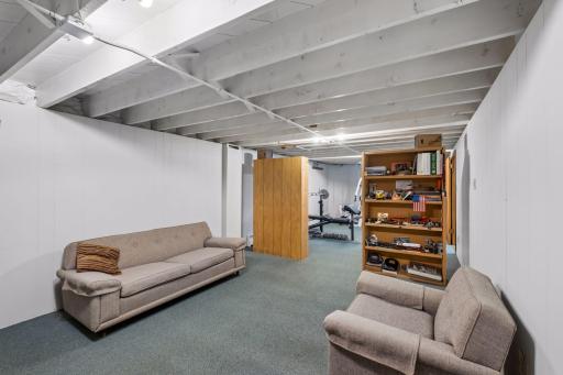 The lower level family room offers abundant space, carpet flooring, and overhead lighting, creating a versatile area for everyday living and entertaining.