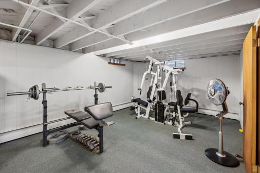The lower level family room continues into this flexible space, currently used as a gym with carpet flooring and overhead lighting. With an egress window, this area could offer potential for an additional bedroom.