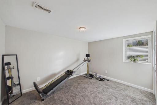 Basement Bedroom with Egress Window & Walk-In Closet