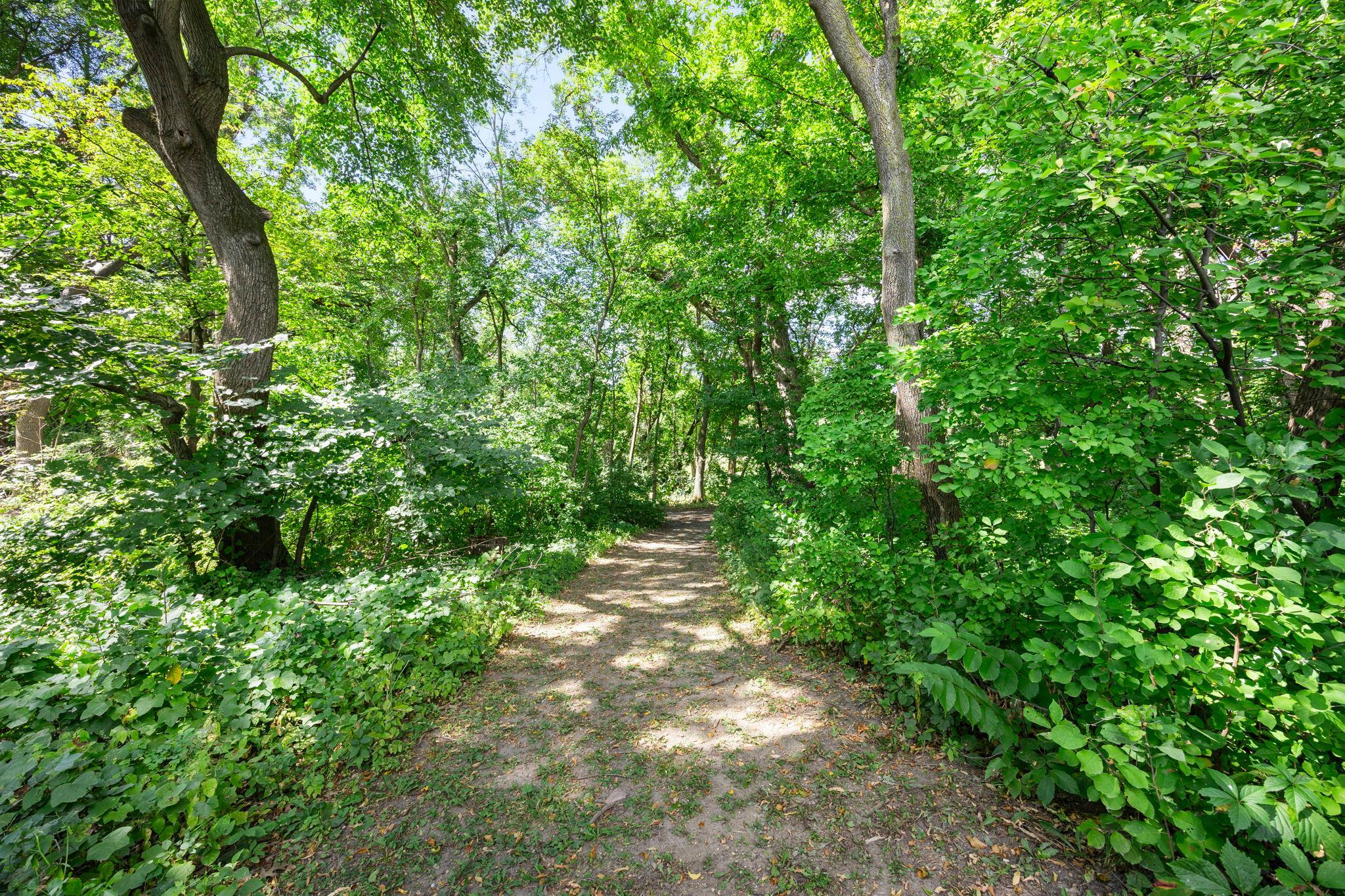 Walking paths