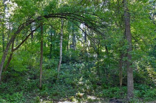 50540 Snow Lake Road, Vining, MN 56588