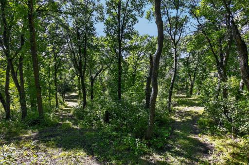 50540 Snow Lake Road, Vining, MN 56588