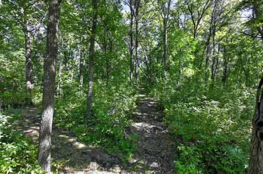 50540 Snow Lake Road, Vining, MN 56588