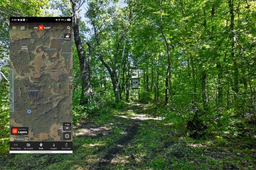 50540 Snow Lake Road, Vining, MN 56588