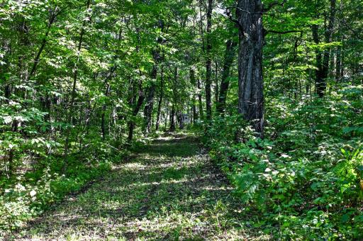 50540 Snow Lake Road, Vining, MN 56588