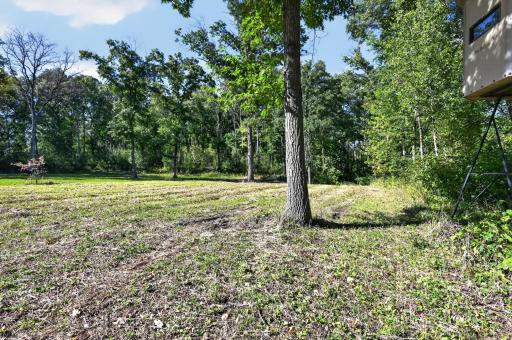 50540 Snow Lake Road, Vining, MN 56588