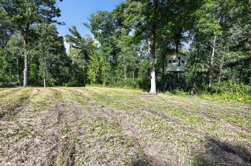 50540 Snow Lake Road, Vining, MN 56588