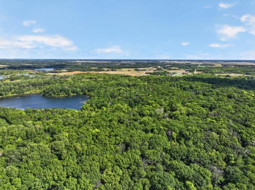 50540 Snow Lake Road, Vining, MN 56588
