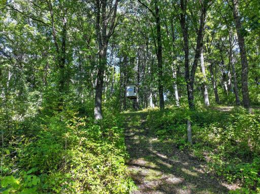 50540 Snow Lake Road, Vining, MN 56588