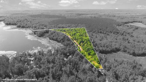 24-web-or-mls-33385-little-mcgraw-lake-rd.jpg