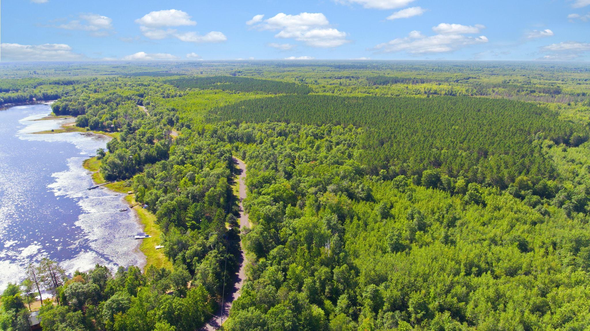 10-web-or-mls-33385-little-mcgraw-lake-rd.jpg