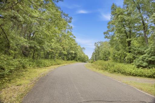 29-web-or-mls-33385-little-mcgraw-lake-rd.jpg