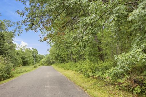 27-web-or-mls-33385-little-mcgraw-lake-rd.jpg