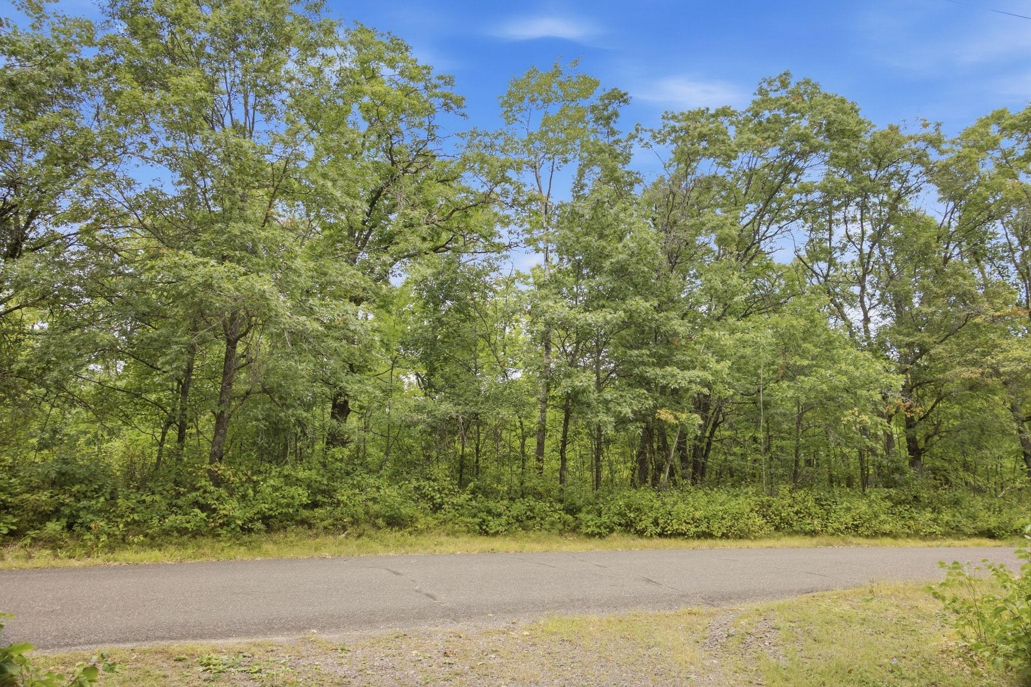 25-web-or-mls-33385-little-mcgraw-lake-rd.jpg