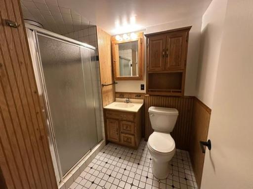Lower level bathroom