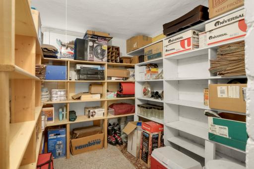 Generous lower-level storage area with extensive shelving