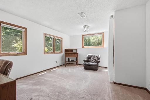 Lower level bedroom.