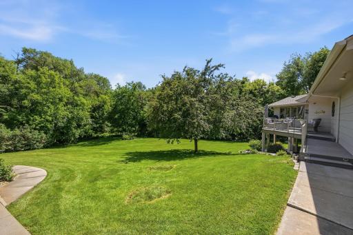 Backyard views!